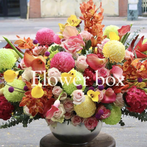 BÌNH HOA TẾT FBVT33