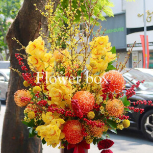 BÌNH HOA TẾT FBVT34