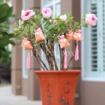 Mẫu Đơn Chậu - FBFP 002