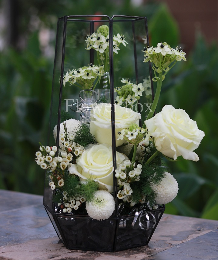 Hộp kính hoa - FBTB 047