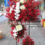 Kệ hoa chúc mừng - CFPE 048