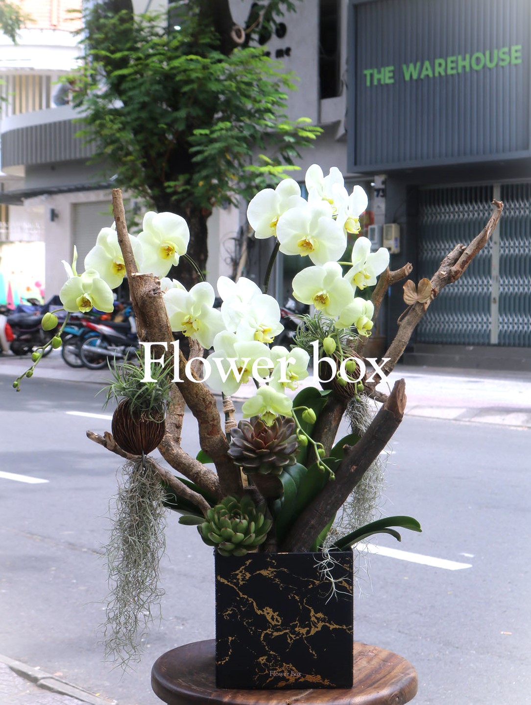 Lũa Lan Tết Sang Trọng - FBTC15