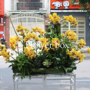 Lũa Lan Tết Sang Trọng FBNG005
