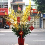 BÌNH HOA TẾT – FBVT07