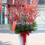 BÌNH HOA TẾT – FBVT08