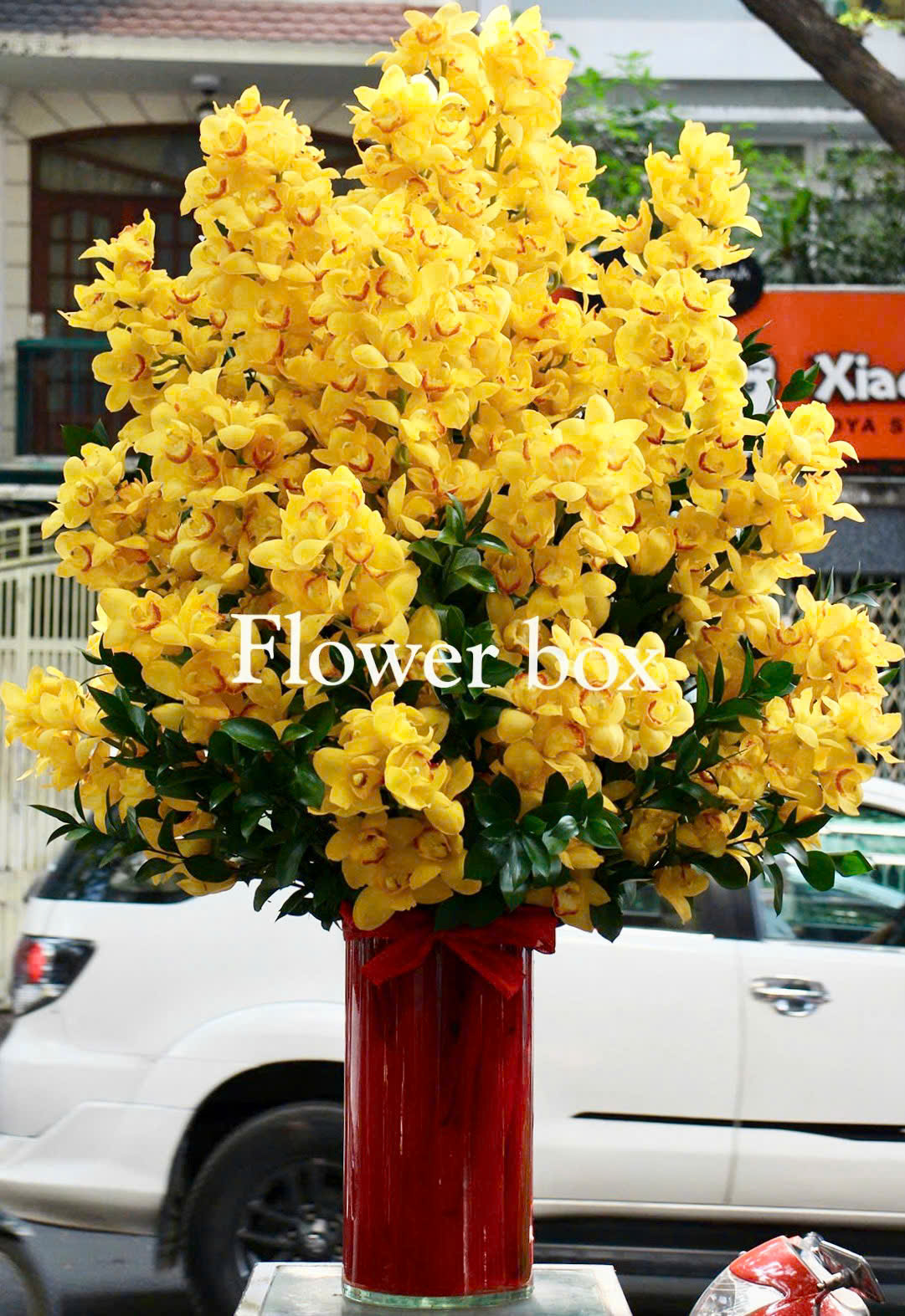 BÌNH HOA TẾT – FBVT03