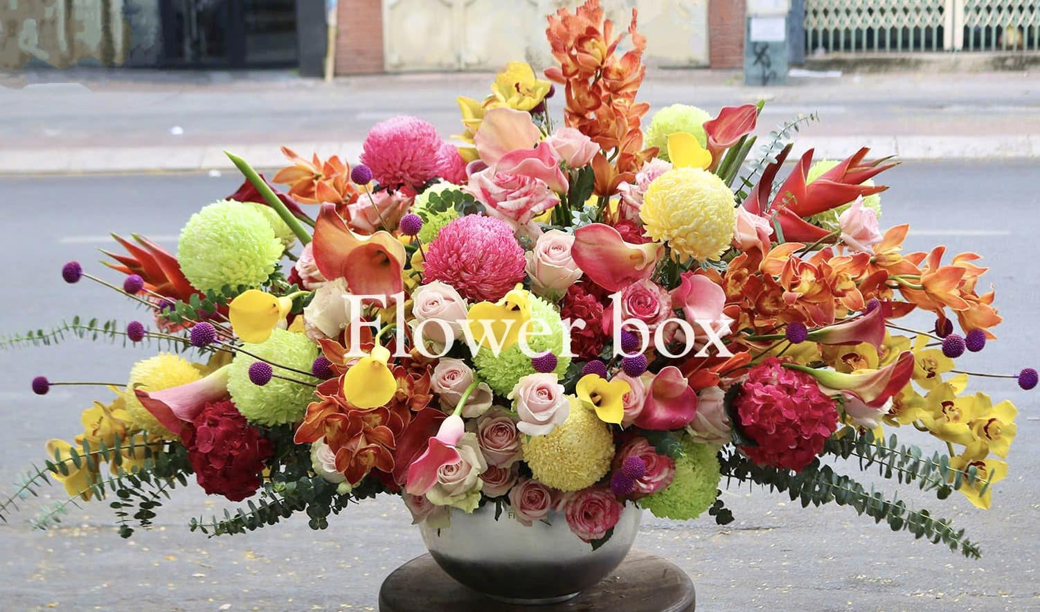 BÌNH HOA TẾT FBVT33