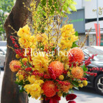 BÌNH HOA TẾT FBVT34