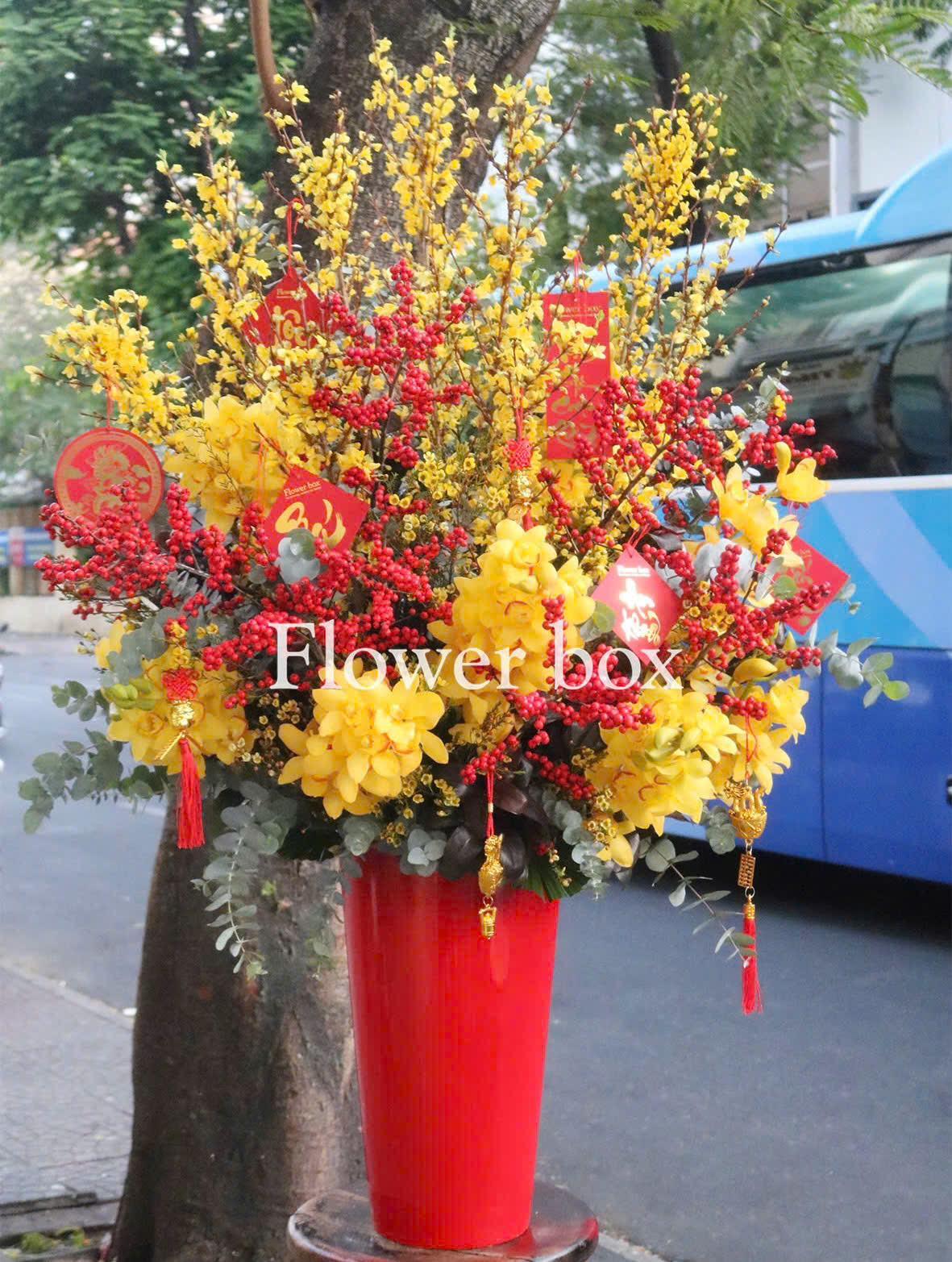 BÌNH HOA TẾT FBVT35
