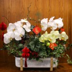 GIỎ HOA LAN HỒ ĐIỆP FBVT21