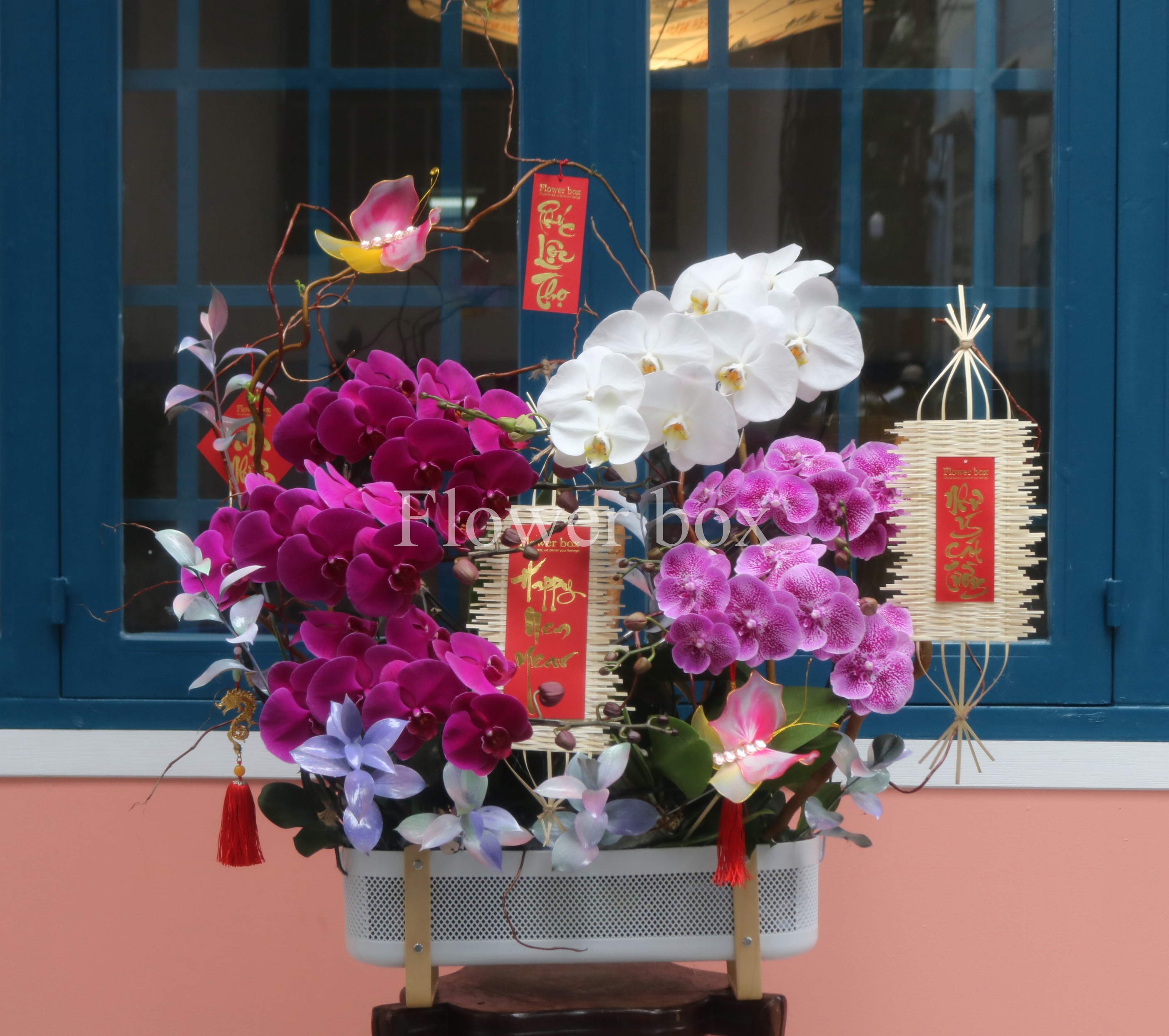 GIỎ LAN HỒ ĐIỆP FBVT28