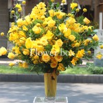 Bình hoa chúc mừng - FBVA 025