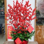 Bình hoa trang trí - FBVA 003