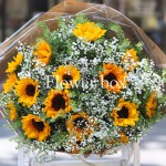 Bó hoa chúc mừng - FBBO 022