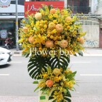 Kệ hoa chúc mừng - CFPE 006