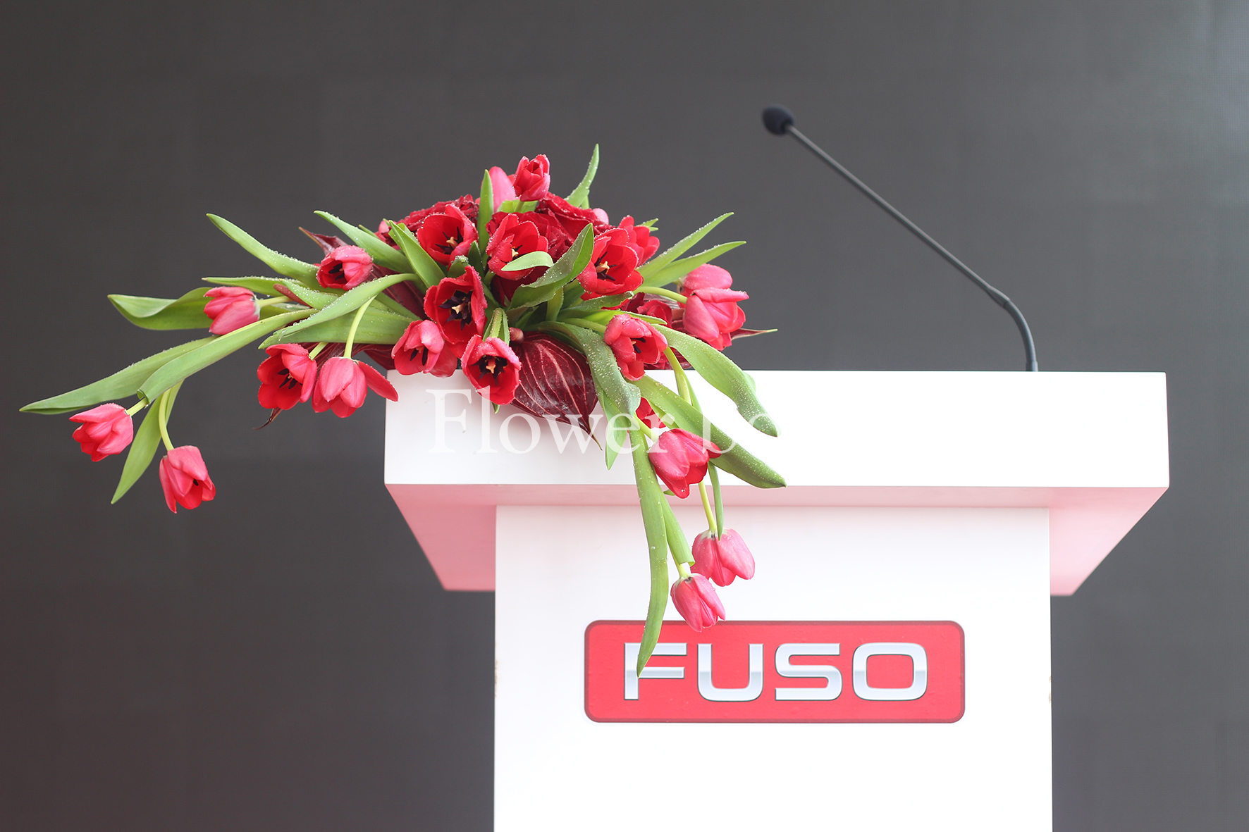 Event Khai Trương FUSO - FBEV 017