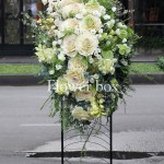 Kệ hoa chúc mừng - CFPE 042