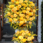 KỆ HOA NGÀY BẾ GIẢNG FBBG06