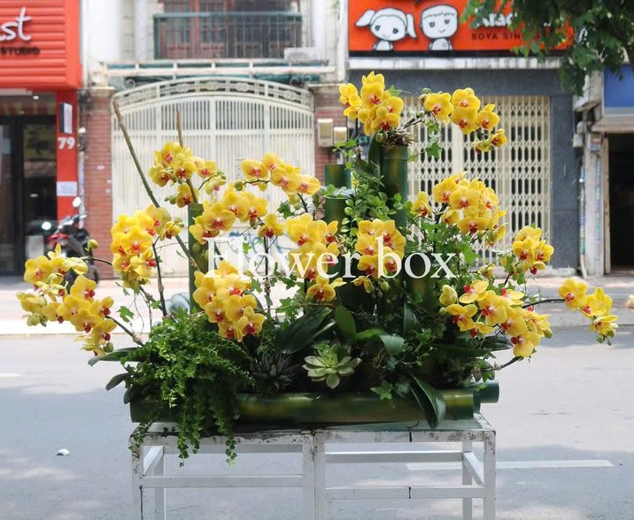 Lũa Lan Tết Sang Trọng FBNG005